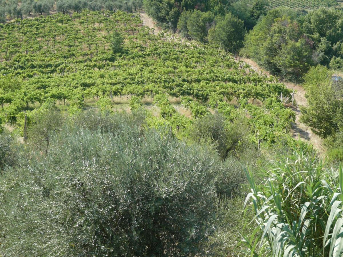 Agriturismo Santa Croce San Gimignano Extérieur photo